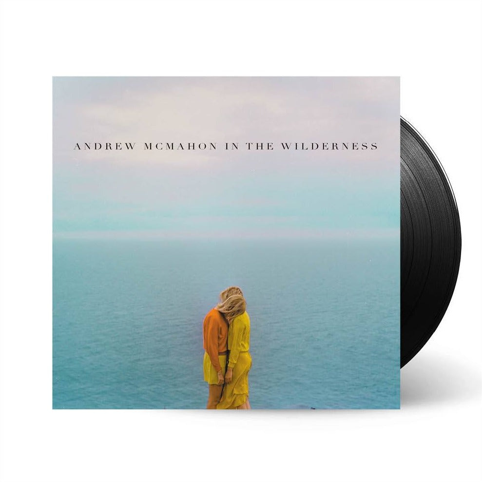 Andrew McMahon - In The Wilderness Vinyl LP